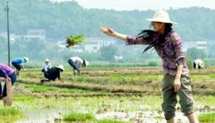 梦到钓好多甲鱼周公解梦是啥意思啊(1)