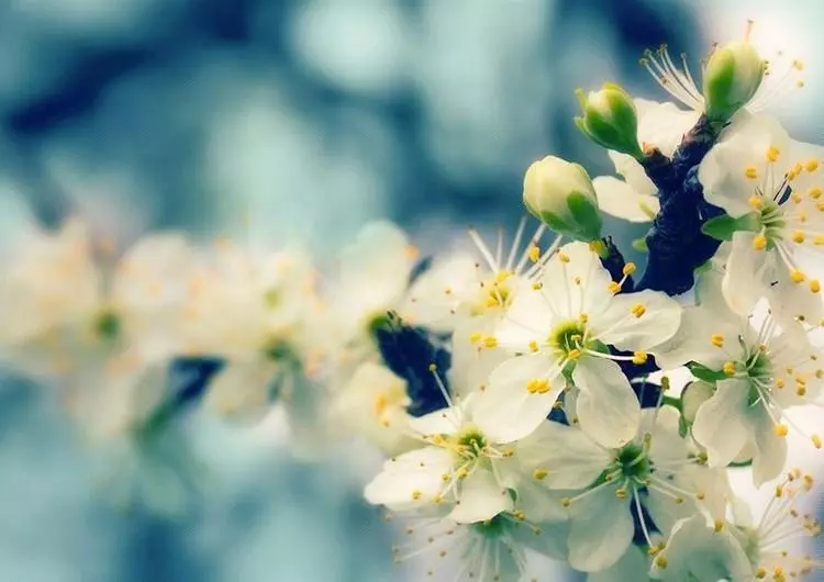 思维方式如何改变你的命运英文翻译成中文(1)