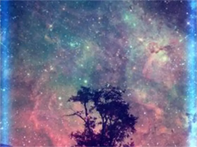 属羊的在2023年的全年命运如何啊(1)