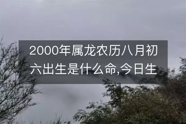 2000农历八月初六出生的人是什么命运呢(1)