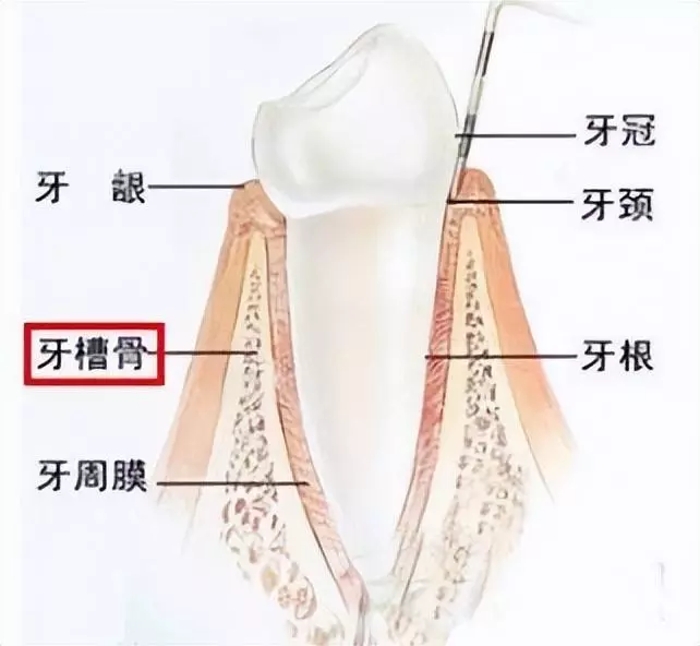 做梦牙齿松掉了是什么意思啊周公解梦女人(3)