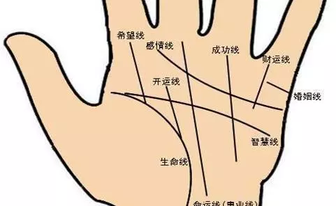 男人看手相图解大全(1)