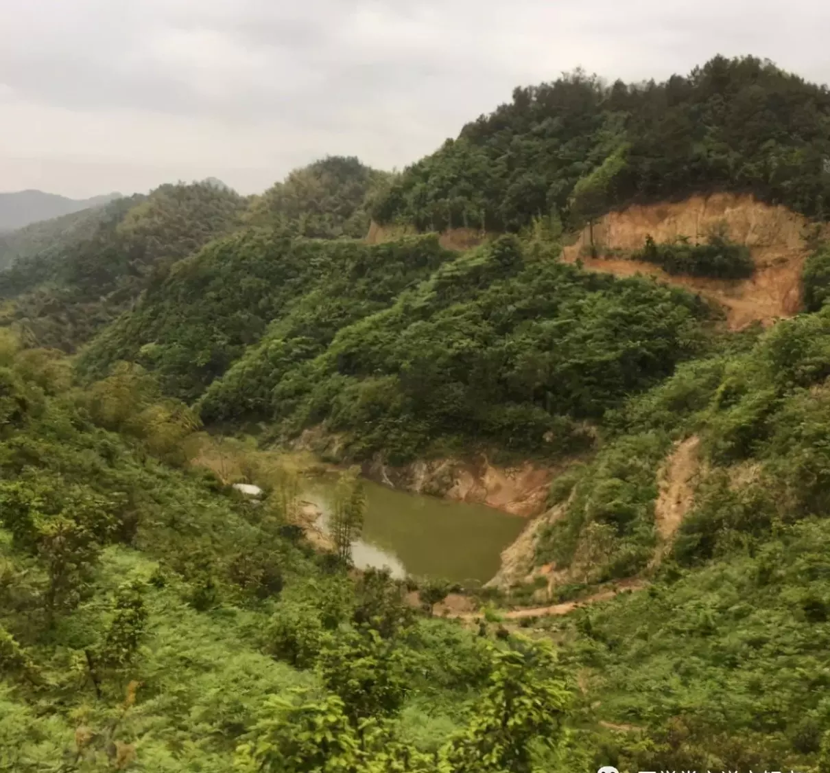了口是什么字怎么读(7)