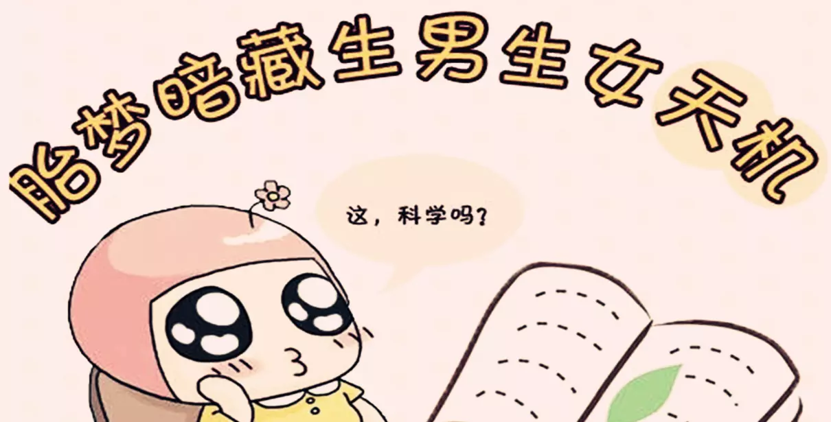 女人做梦梦到小白狗有什么预兆吗周公解梦(1)