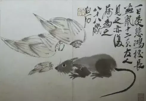 1996年属鼠的2020年的运怎么样(12)
