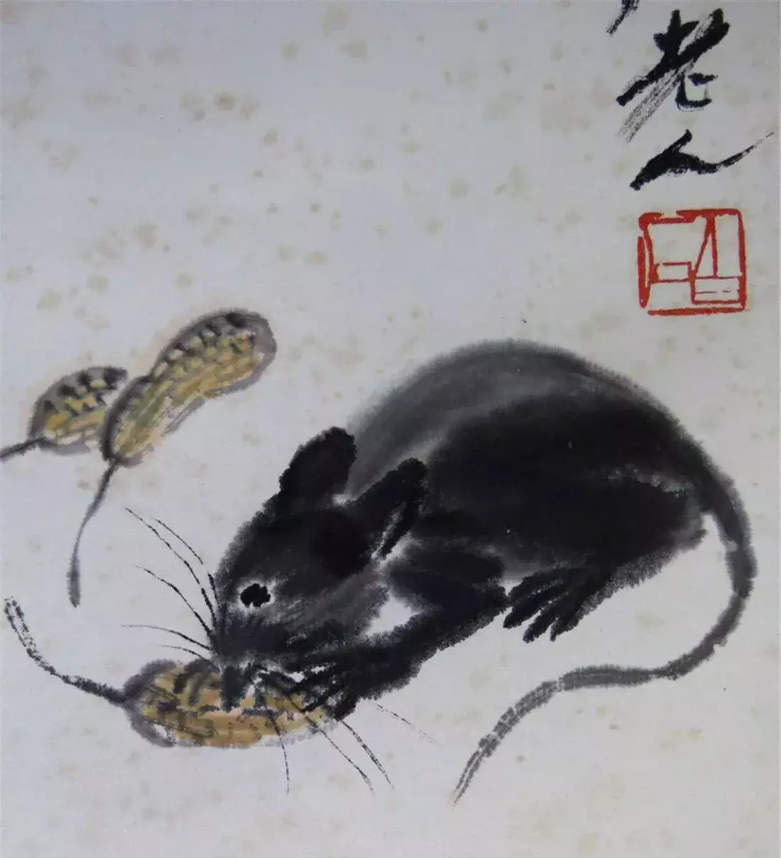 1996年属鼠的2020年的运怎么样(9)