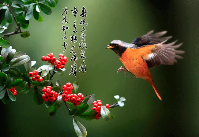 帮的繁体字怎么写的多少笔(2)
