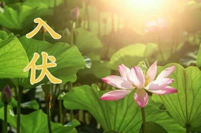 农历六月初二出生的是什么命运女孩名字(3)