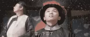 柳属和杨属的区别(2)