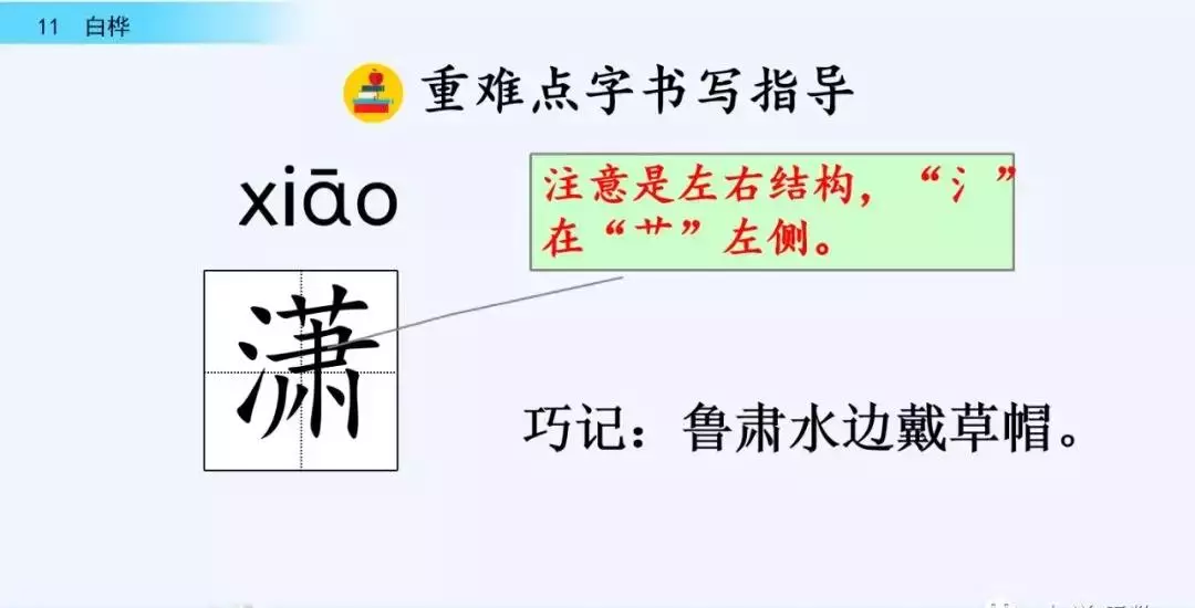 桦树读音是什么意思(11)