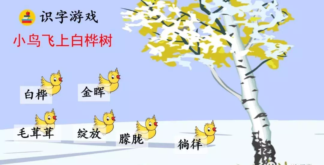 桦树读音是什么意思(13)