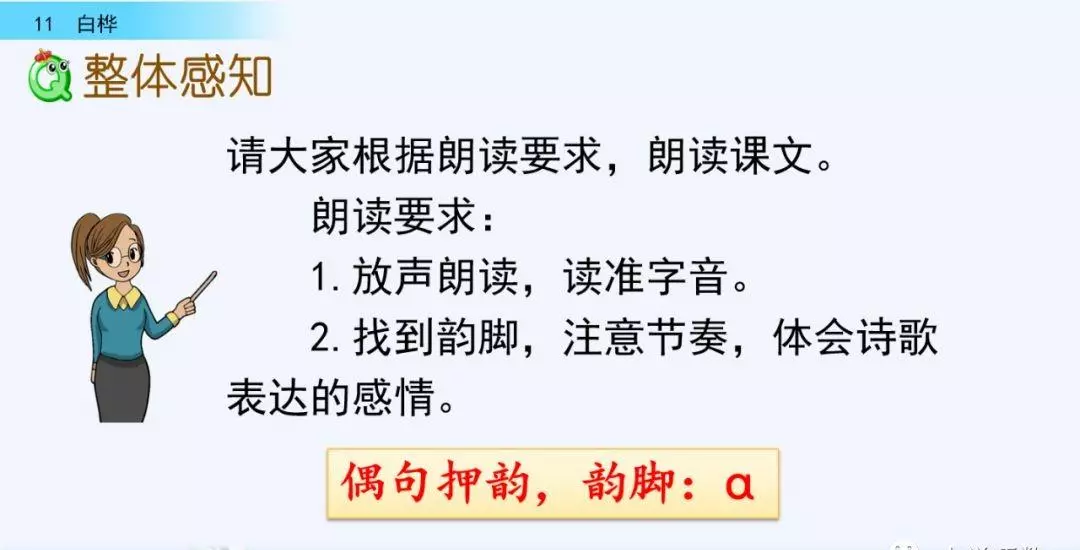 桦树读音是什么意思(18)