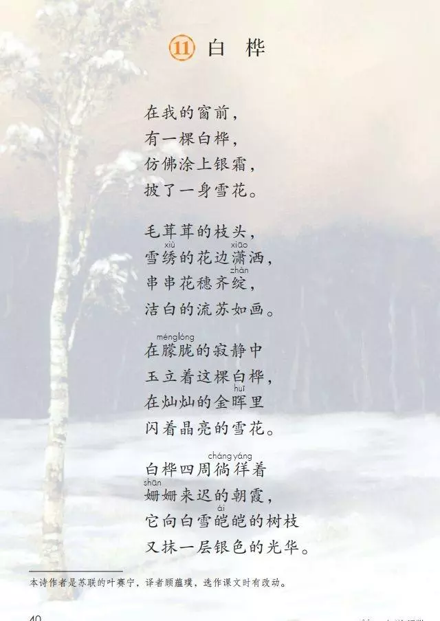 桦树读音是什么意思(1)