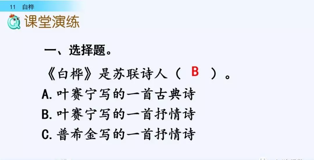 桦树读音是什么意思(20)