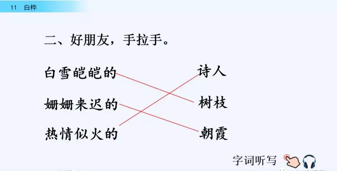 桦树读音是什么意思(21)