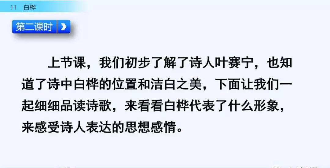 桦树读音是什么意思(22)