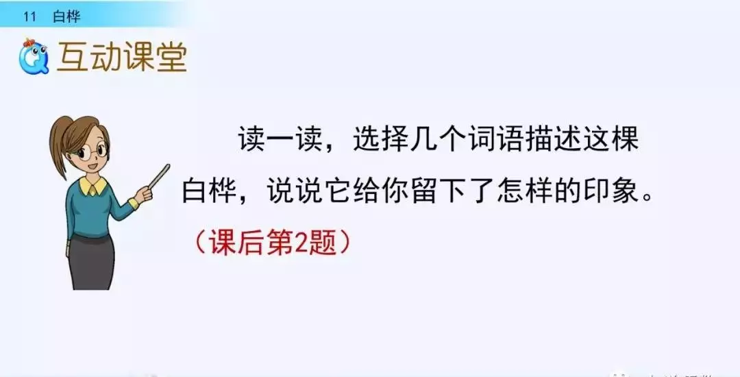 桦树读音是什么意思(23)