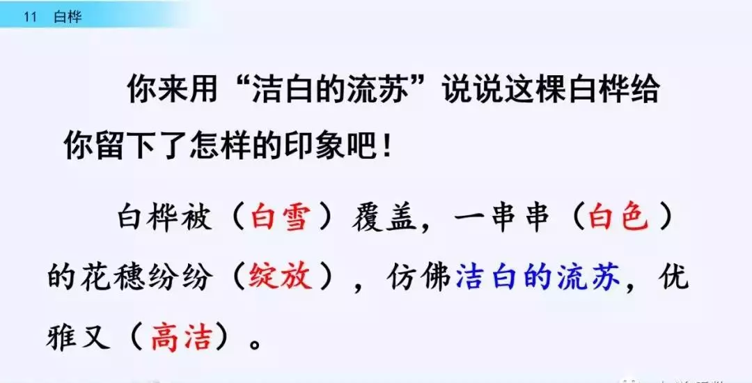 桦树读音是什么意思(28)