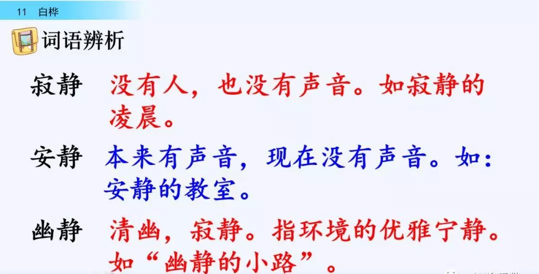 桦树读音是什么意思(34)