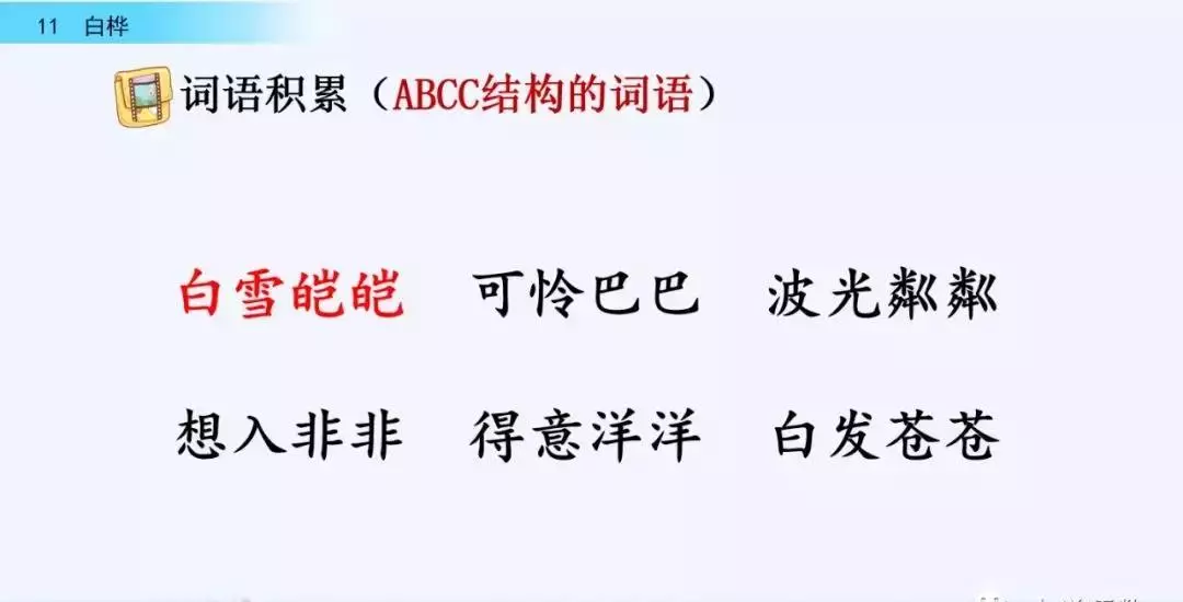 桦树读音是什么意思(37)