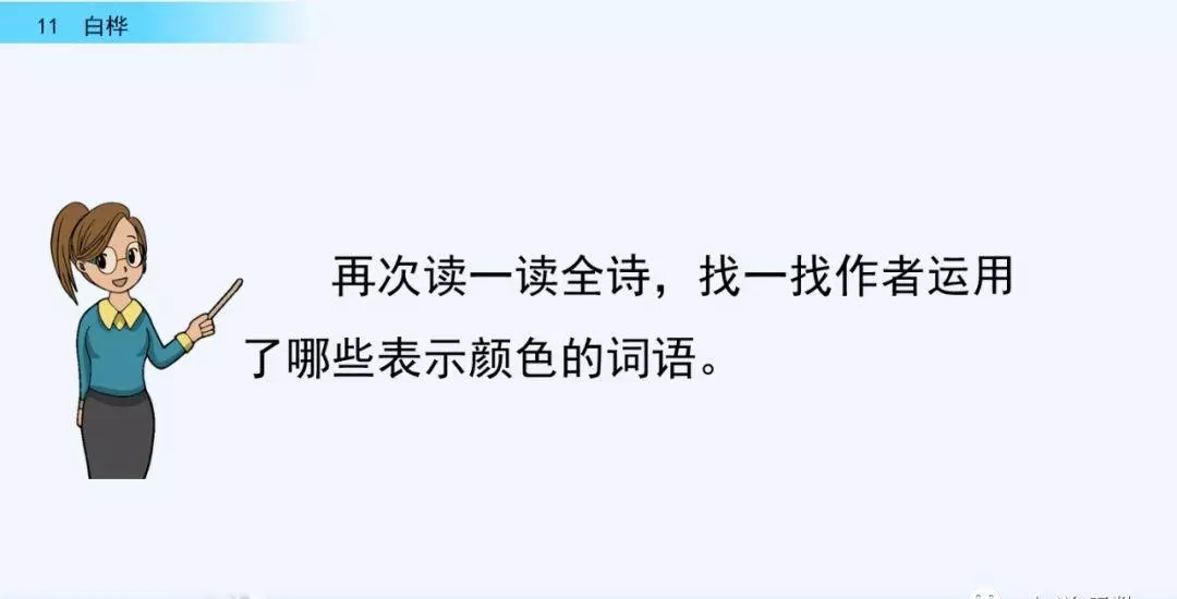 桦树读音是什么意思(40)