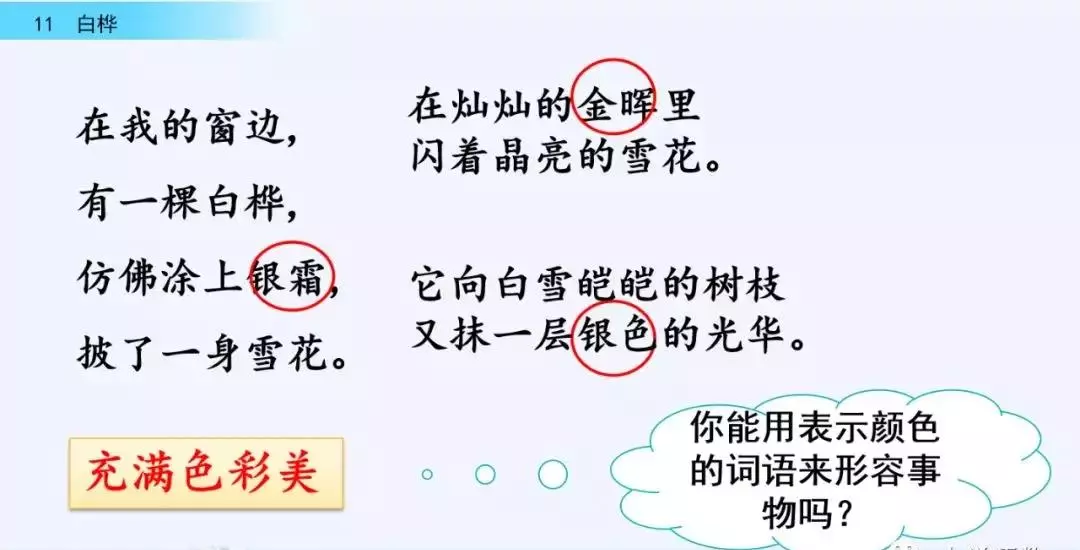 桦树读音是什么意思(41)