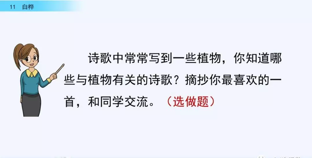桦树读音是什么意思(43)