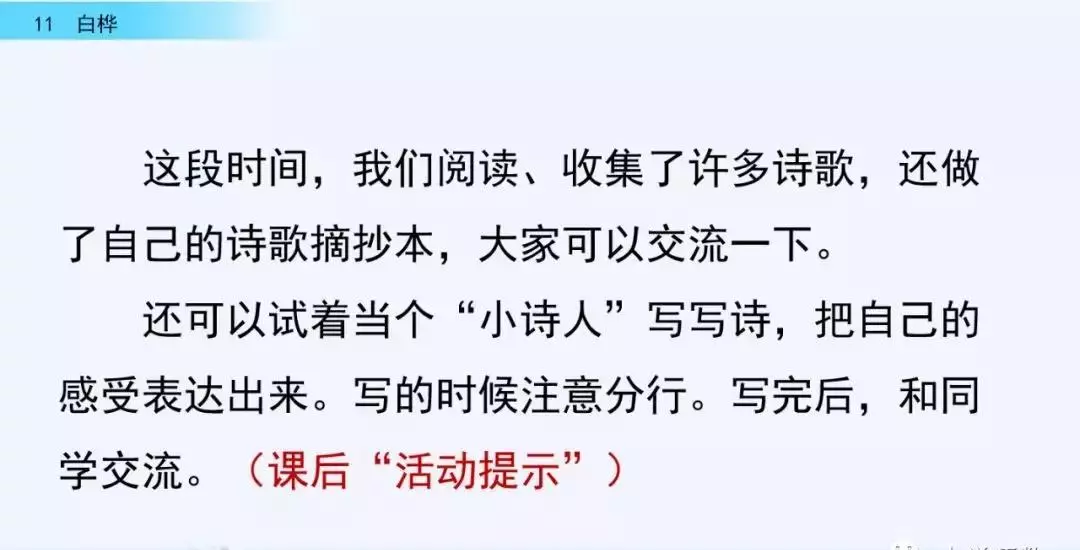 桦树读音是什么意思(45)