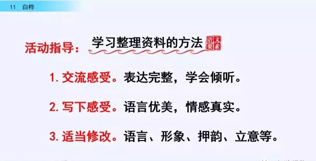 桦树读音是什么意思(46)