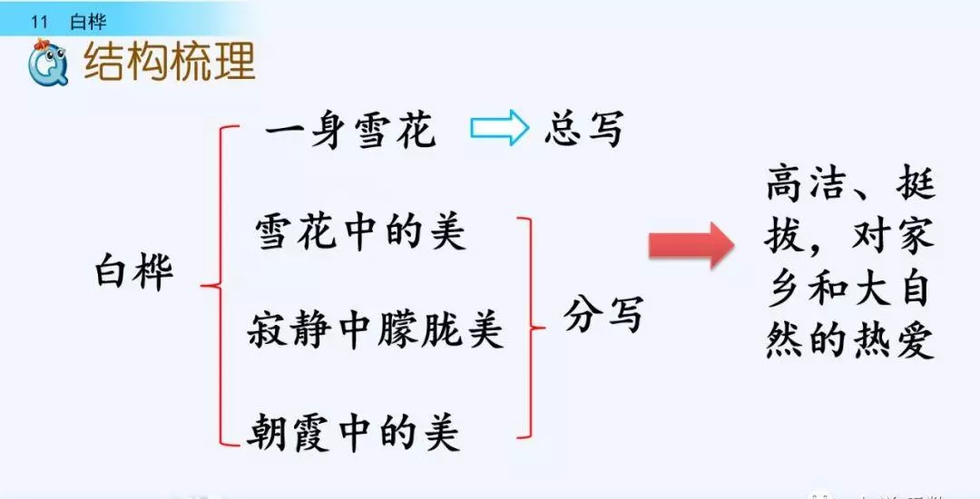 桦树读音是什么意思(47)