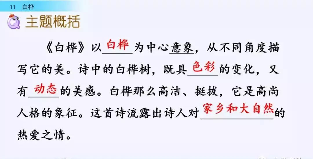 桦树读音是什么意思(48)