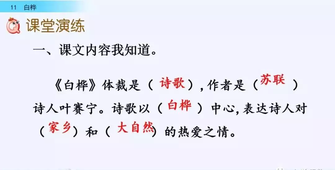 桦树读音是什么意思(50)