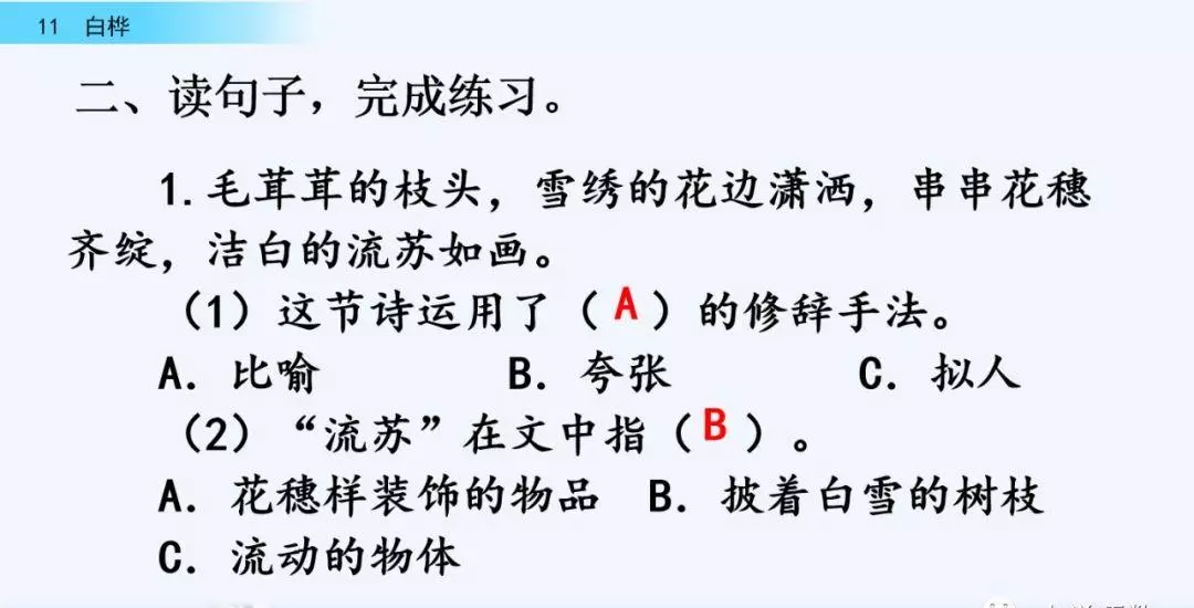 桦树读音是什么意思(51)
