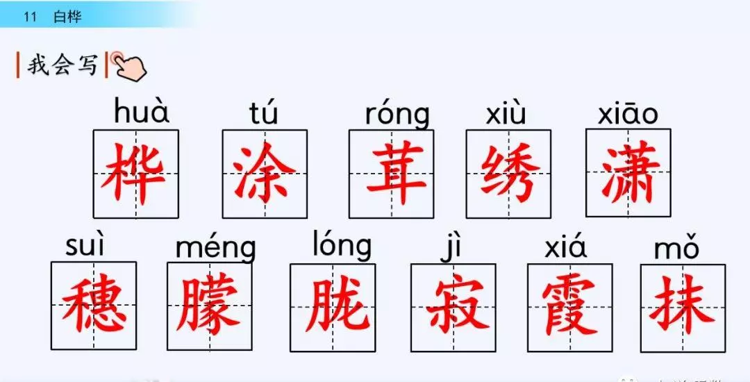 桦树读音是什么意思(8)