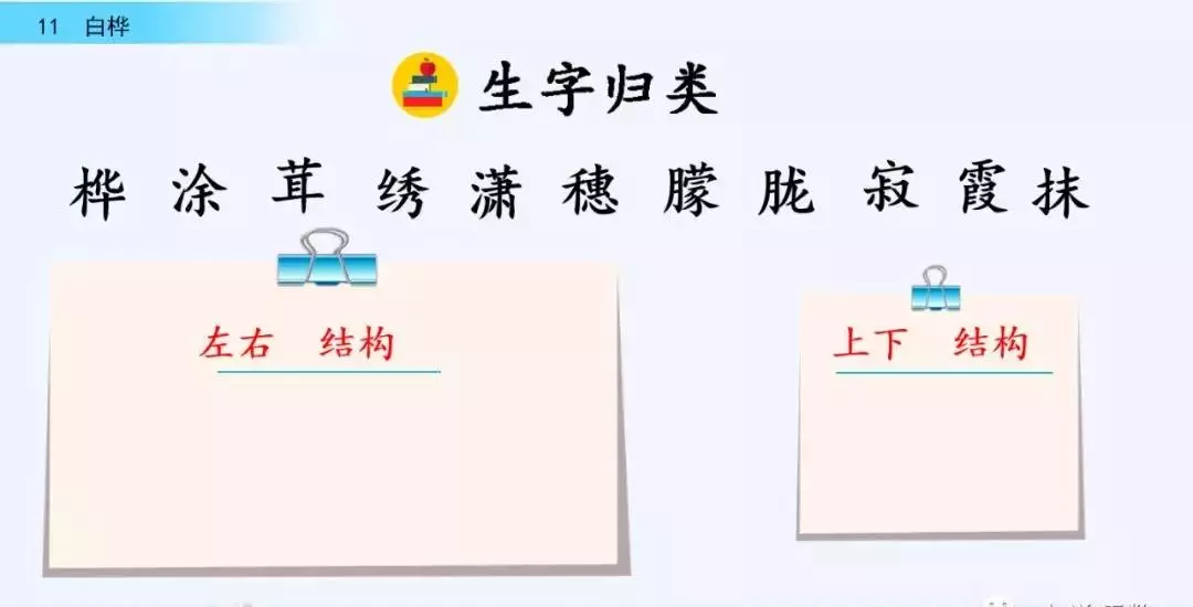 桦树读音是什么意思(9)