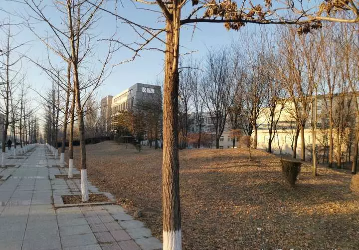 不将命运交给男人掌握自己的人生什么意思呀(1)
