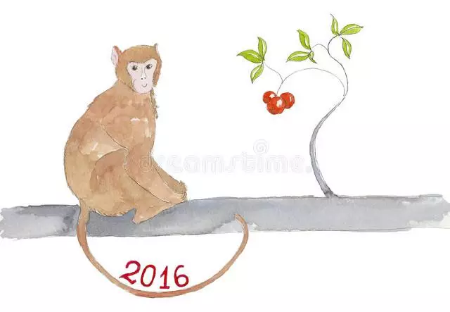 属猴虎2023年的运势及运程如何呢(3)
