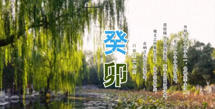 癸卯日柱为何一生烦事多(1)